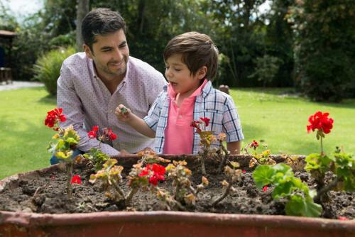 Bed & Breakfast Su Merced