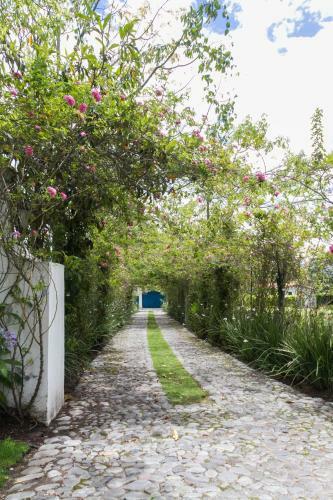 Bed & Breakfast Su Merced