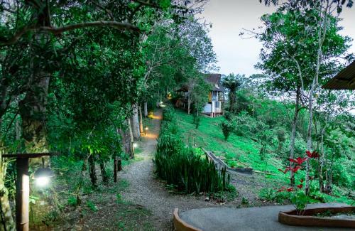 Hotel Samai Ocean View Lodge