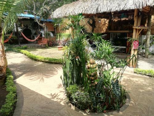 Hosteria Barlovento B&B