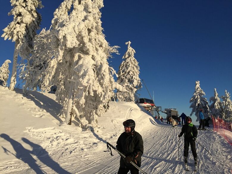 Spacious Apartment Near Ski Area In Braunlage
