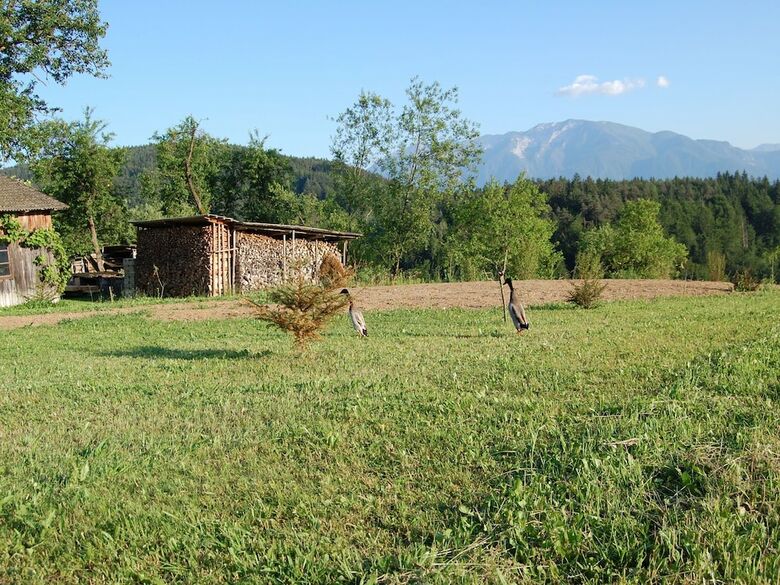 Spacious Holiday Home In Ruden With Large Garden