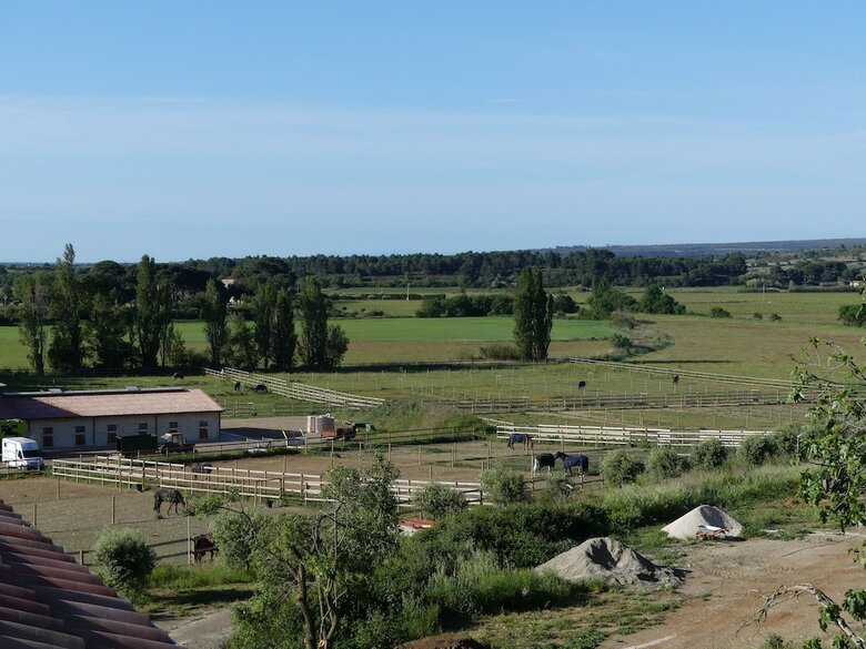 Chateau La Vidalle