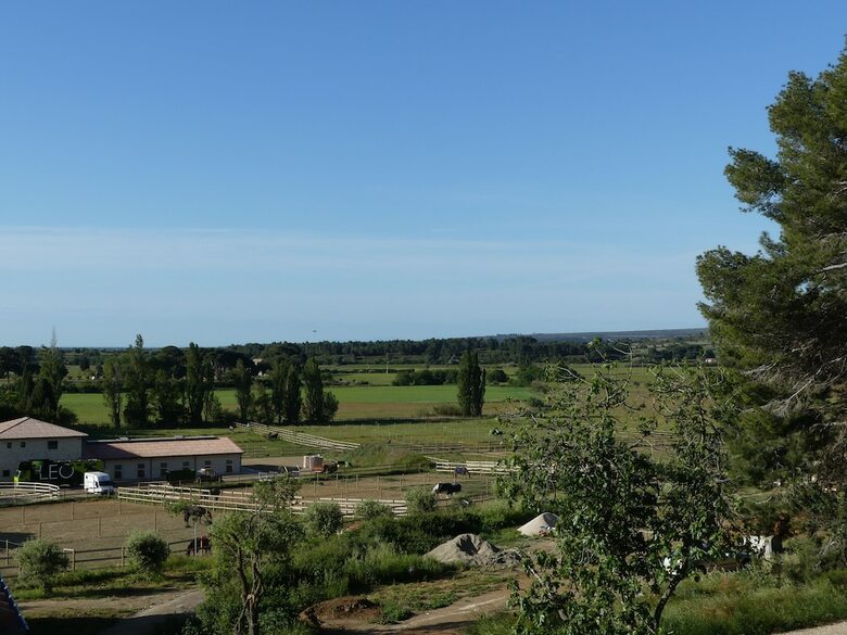 Chateau La Vidalle