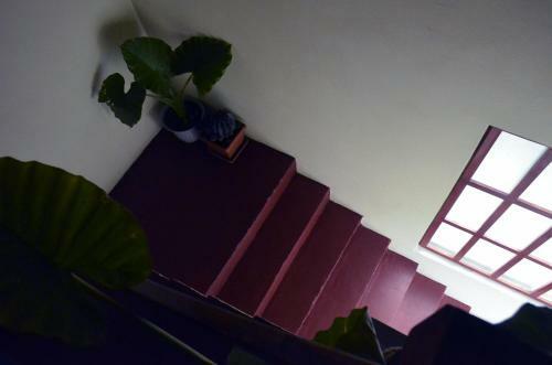 Apartments Nera