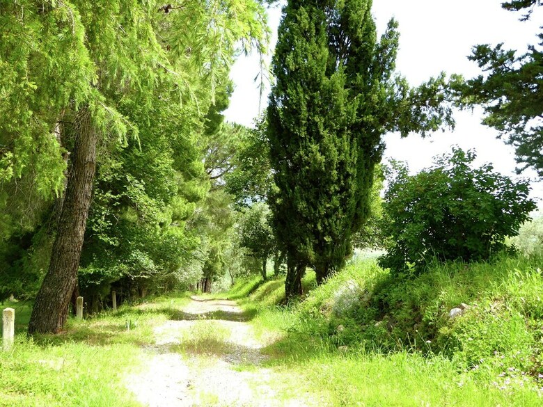 Charming Holiday Home In Volterra With Swimming Pool