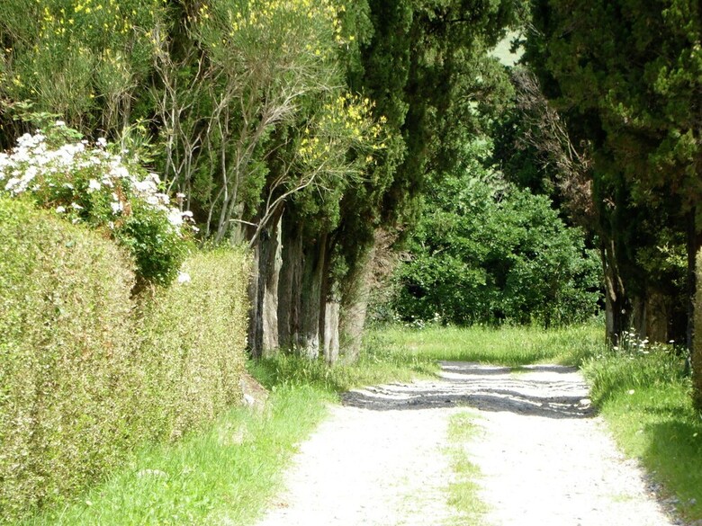 Charming Holiday Home In Volterra With Swimming Pool