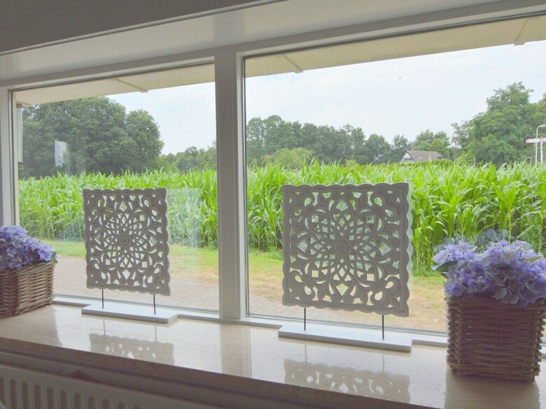Modern Holiday Home With Jacuzzi Near Forest In Wierden