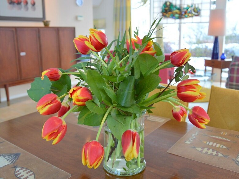 Beautiful Holiday Home In Oldenzaal With Jacuzzi