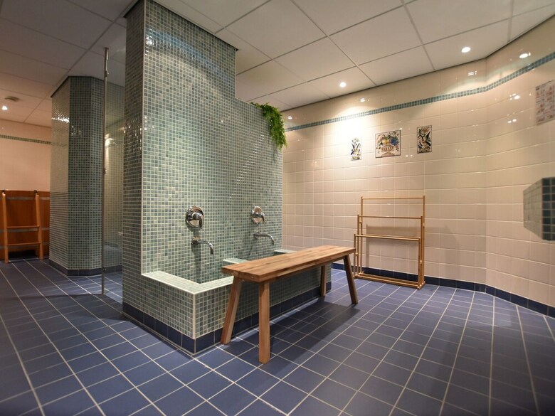 Magnificent Holiday Home In Holten With Wellness Centre