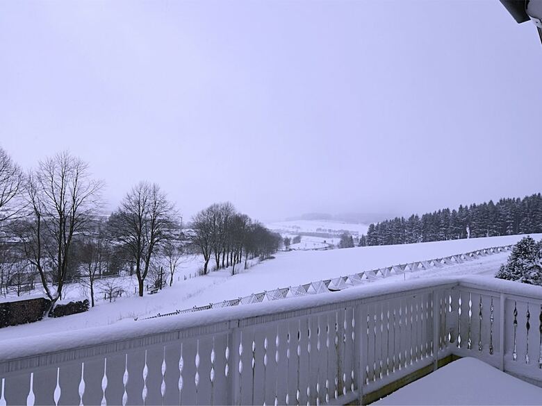 Charming Holiday Home In Immerath Eifel Near Ski Area