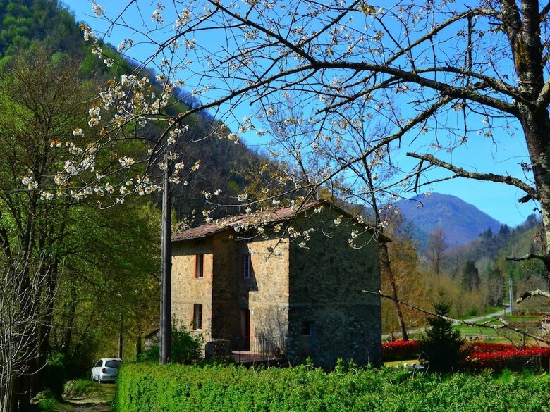 Beautiful Vacation House With A 250 M) Garden