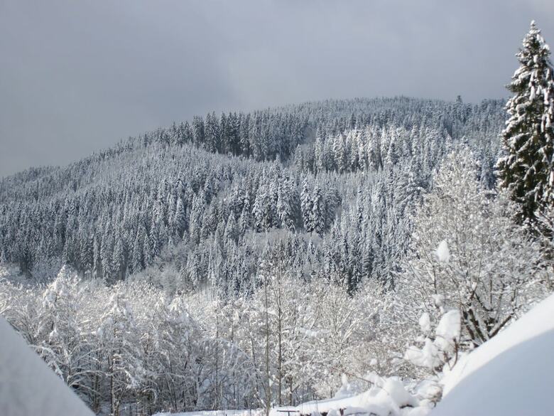 Quietly Situated Apartment With Balcony In The Black Forest