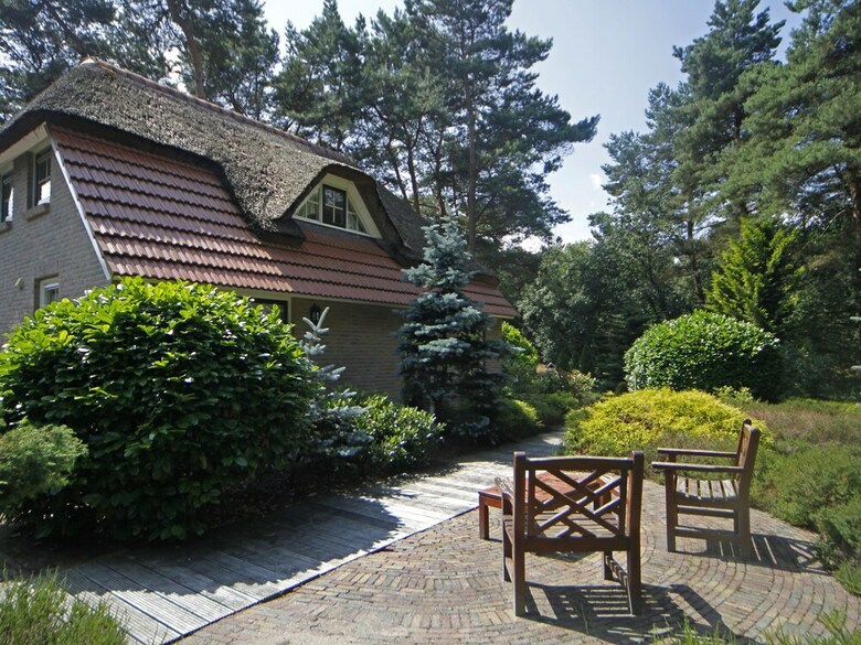 Cosy Holiday Home In Beerze With Terrace