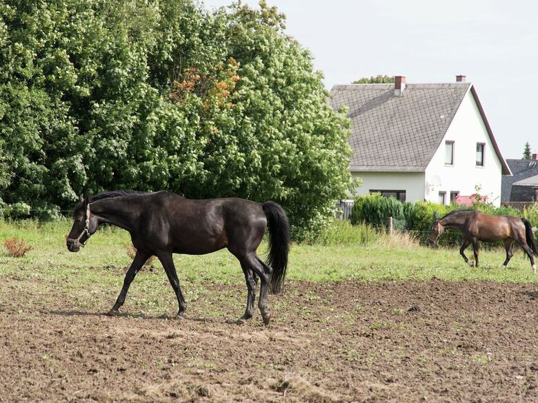 Countryside Apartment In H�henluftkurort Gr�nbach