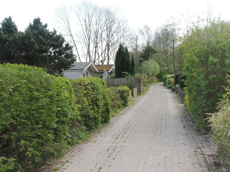 Rustic Bungalow In North Holland Near The Forest
