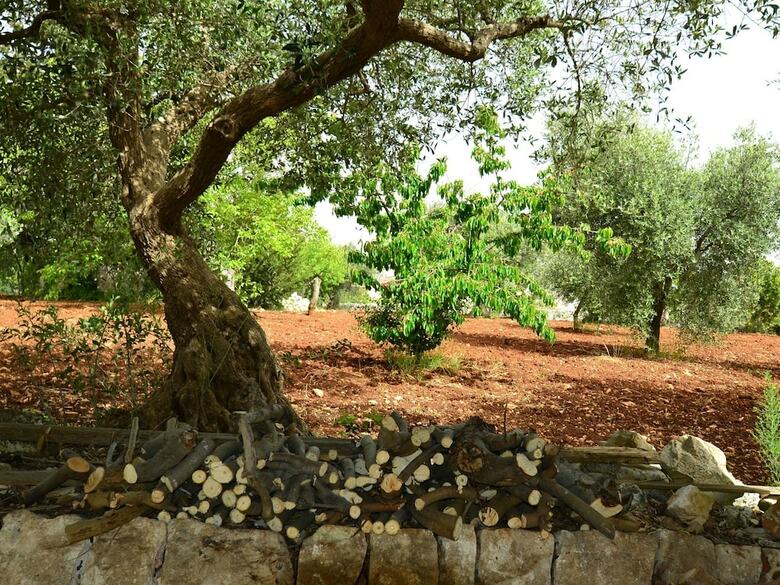 Luxurious Holiday Home In Putignano Apulia With Sea View