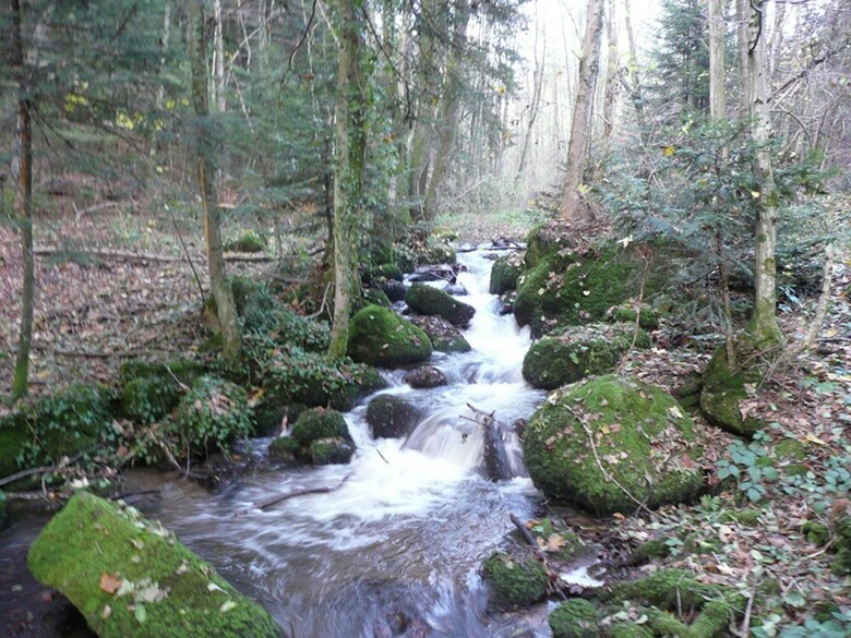 Comfortable Apartment In Rickenbach Near Forest