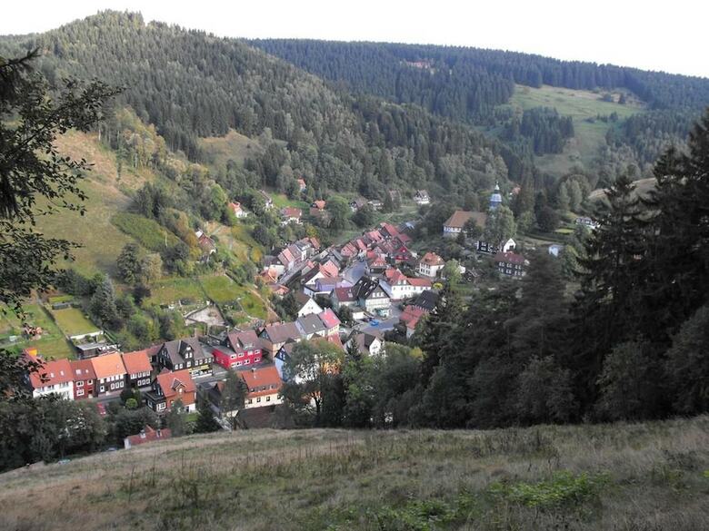 Pleasant Apartment In Wildemann Amid Forest