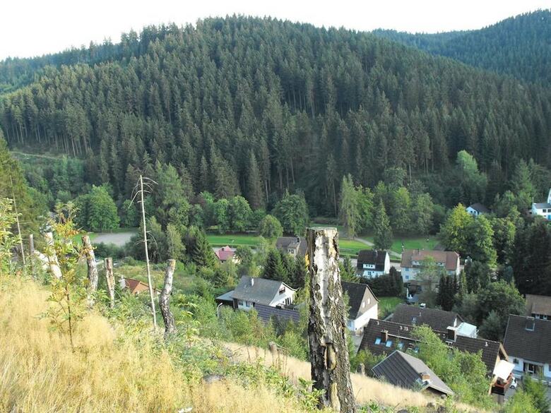 Pleasant Apartment In Wildemann Amid Forest