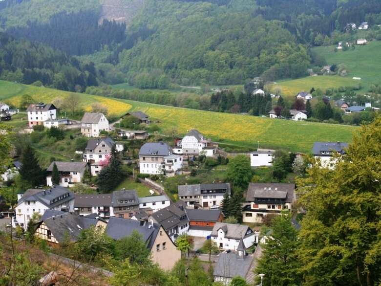 Gorgeous Apartment In Willingen Near Forest