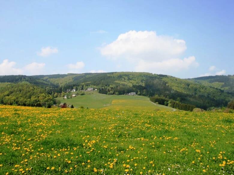 Gorgeous Apartment In Willingen Near Forest