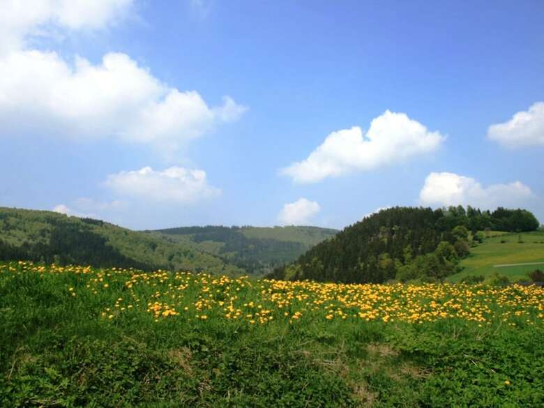 Gorgeous Apartment In Willingen Near Forest