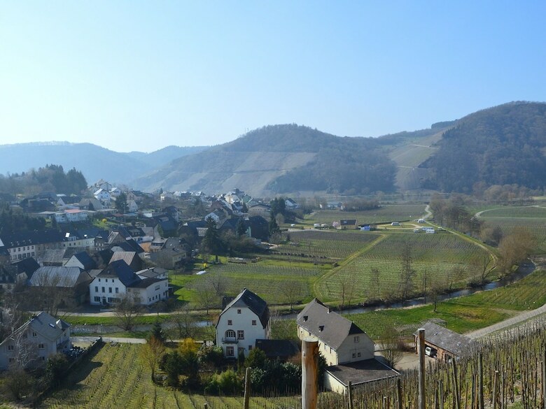 Comfortable Holiday Home Near Vineyards In Bremm