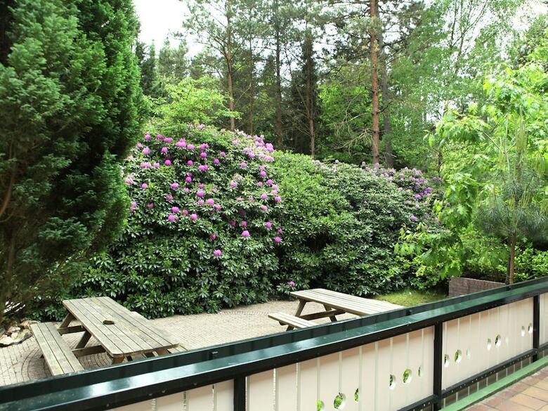 Quaint Villa In Doornspijk With Swimming Pool