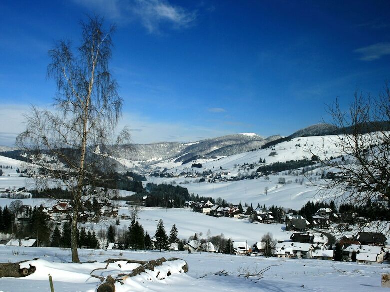 Alluring Apartment In Bernau Im Schwarzwald With Valley View