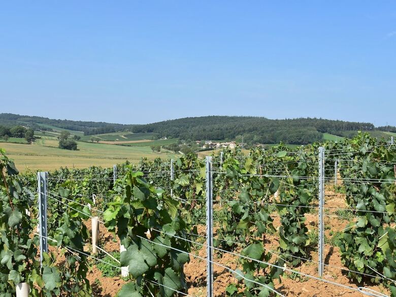 Peaceful Holiday Home In Burgundy Near Forest