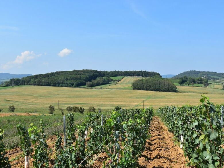 Peaceful Holiday Home In Burgundy Near Forest