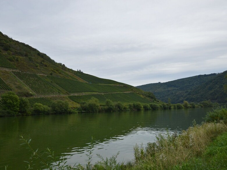 Splendid Holiday Home In Briedel Mosel With Fireplace