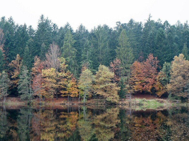 Apartamentos Flat With Balcony In The Upper Bavarian Forest Nature Park