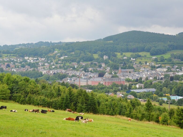 A Villa Perfectly Situated In Spa, Between The Town Centre And The Forest