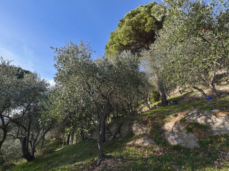 Villa In Rapallo With Terrace, Garden, Veranda, Barbecue