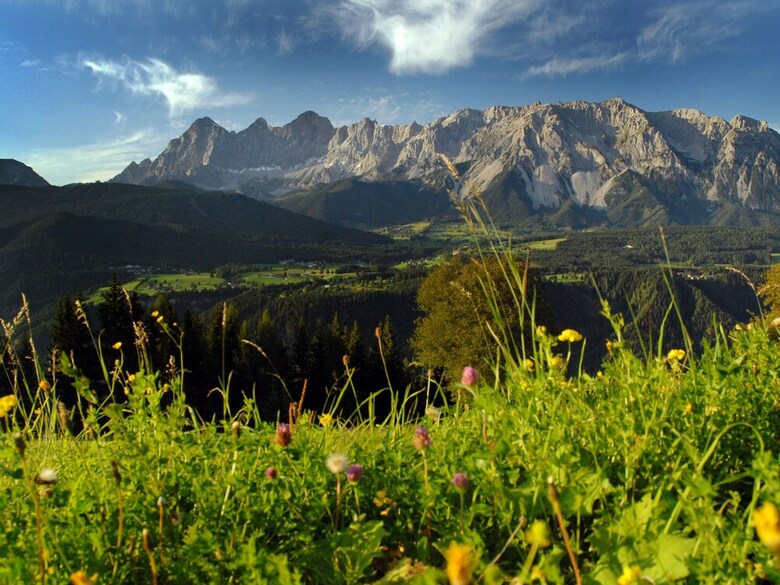 Charming Apartment With Swimming Pool And Sauna In Styria