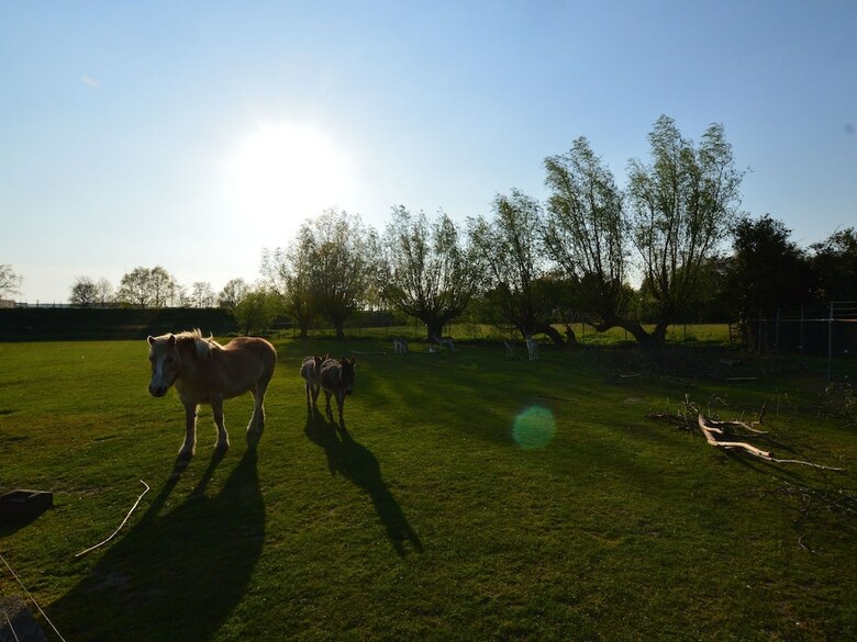 Holiday Home In Bergen Op Zoom With Garden