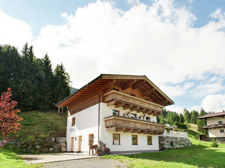 Comfortable Apartment In Saalbach-hinterglemm Near Ski Area