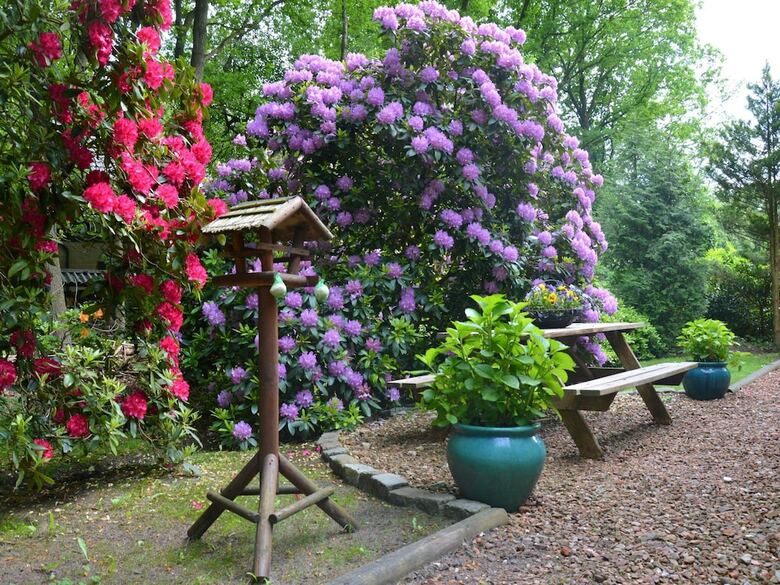 A Detached Bungalow With Outdoor Fireplace, Covered Terrace And Pond In A Forest Plot