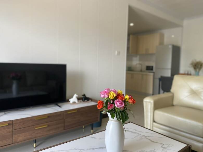Phoenix Apartment By Link
