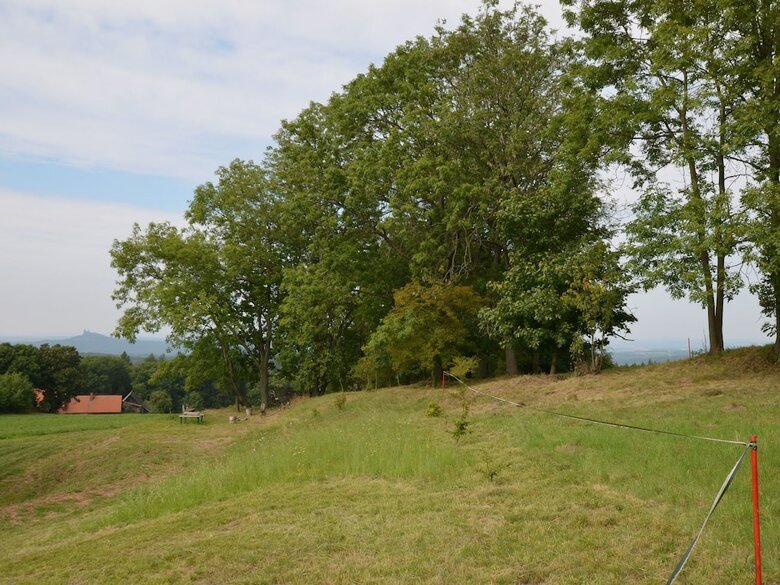 Welcoming Holiday Home With Private Garden, Heating, Parking
