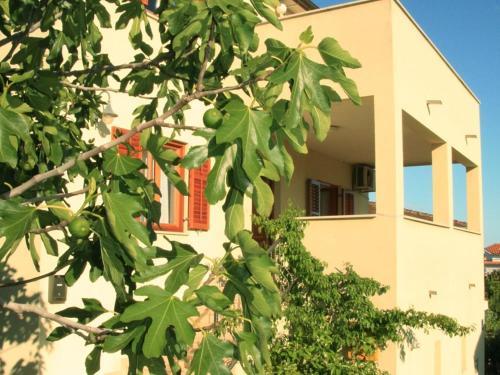 Apartment Premantura 2