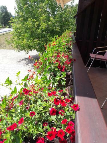 Hostal House Anamarija
