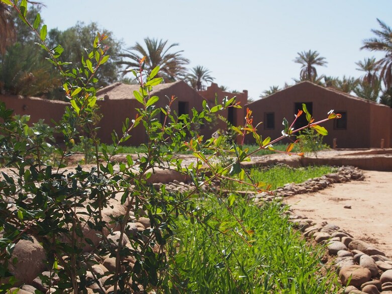 Kasbah Desert Camp