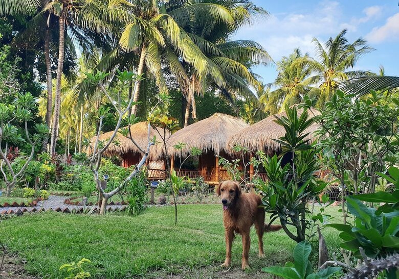 Hotel Same Same Bungalows Eco Lodge