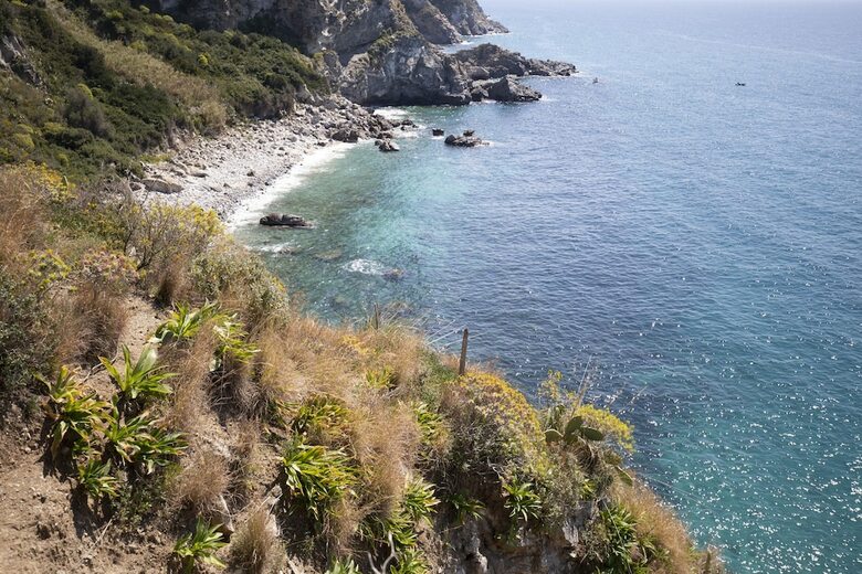 Ville Pini E Aurelia