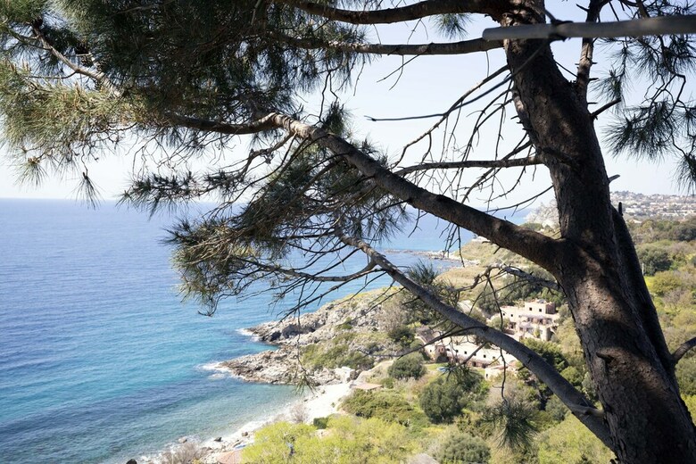 Ville Pini E Aurelia
