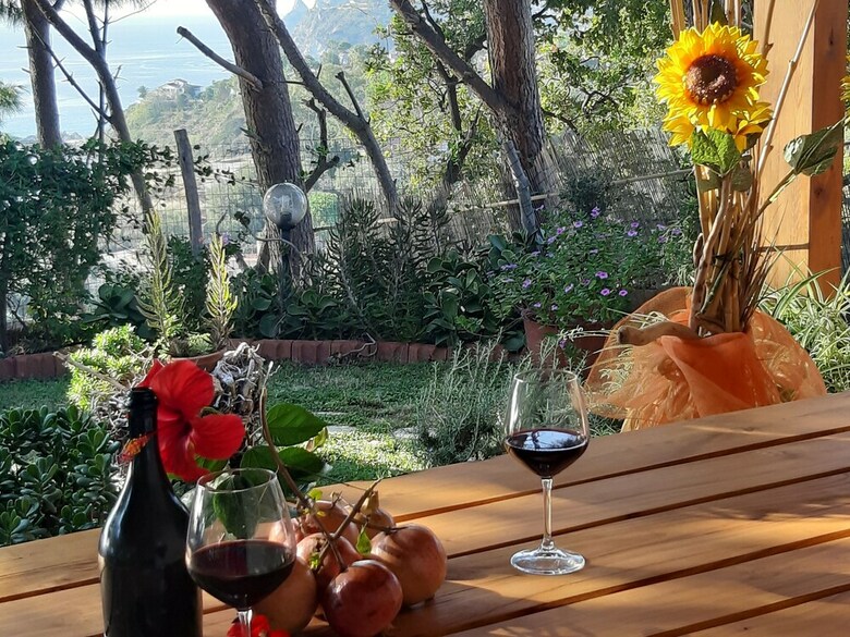 Ville Pini E Aurelia