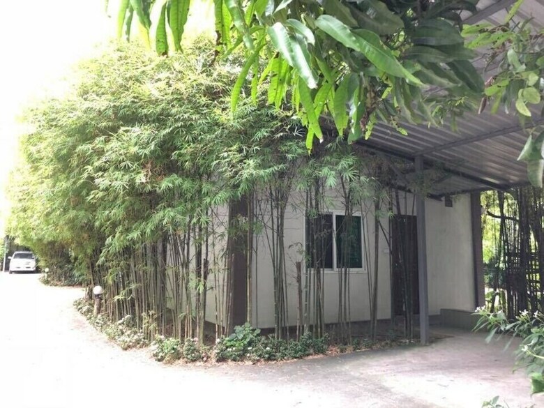 Hotel Oyo Black Bamboo Resort